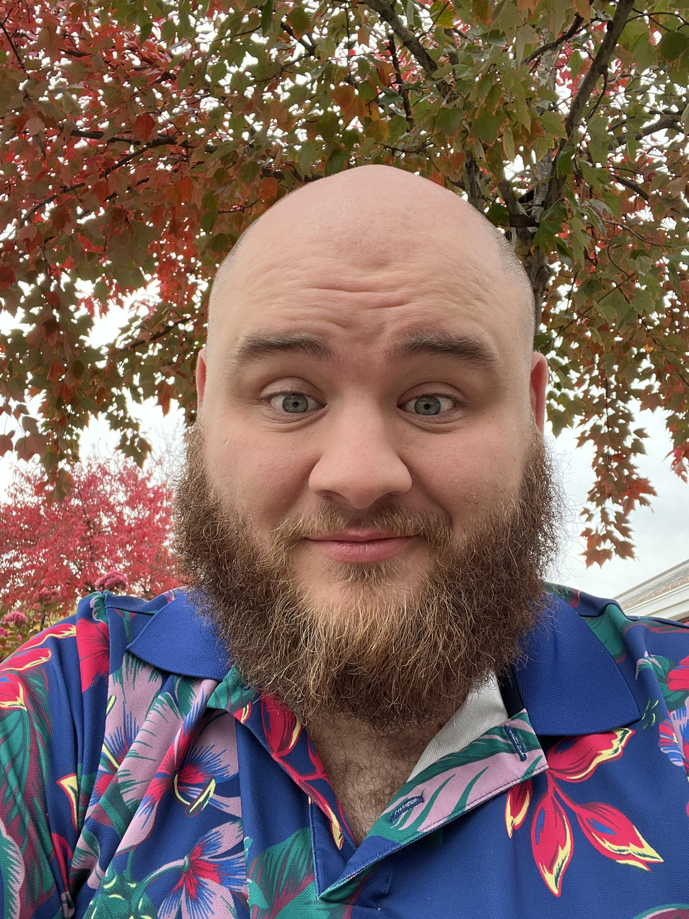 Profile image for Ryley Anderson